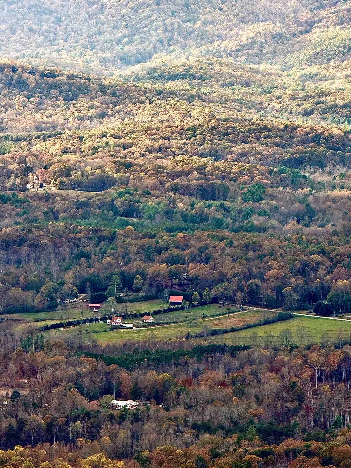 2024-11-11_22-20-41_445